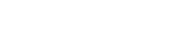 Allset Consulting Agency
