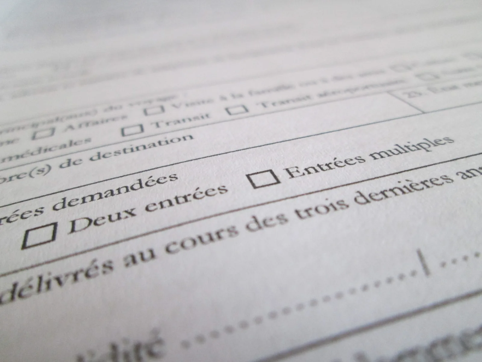 French-language form close-up